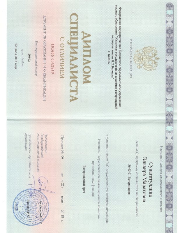 Документ или сертификат