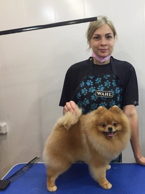 Фото врача Соколова Екатерина Валерьевна