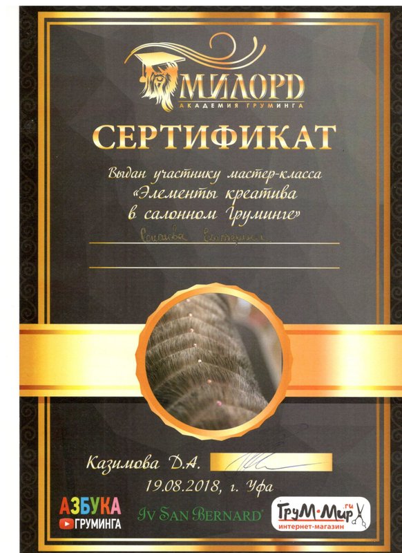 Документ или сертификат