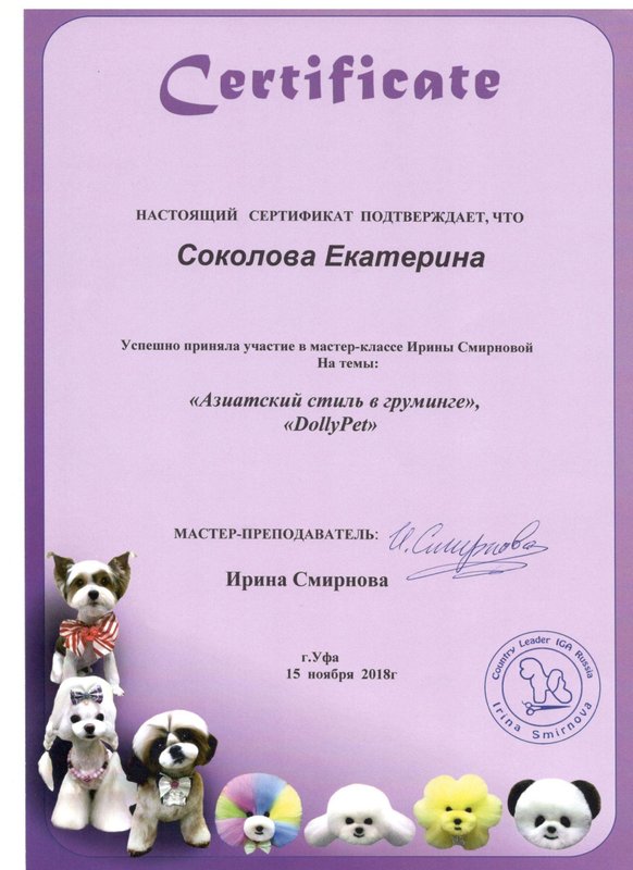 Документ или сертификат
