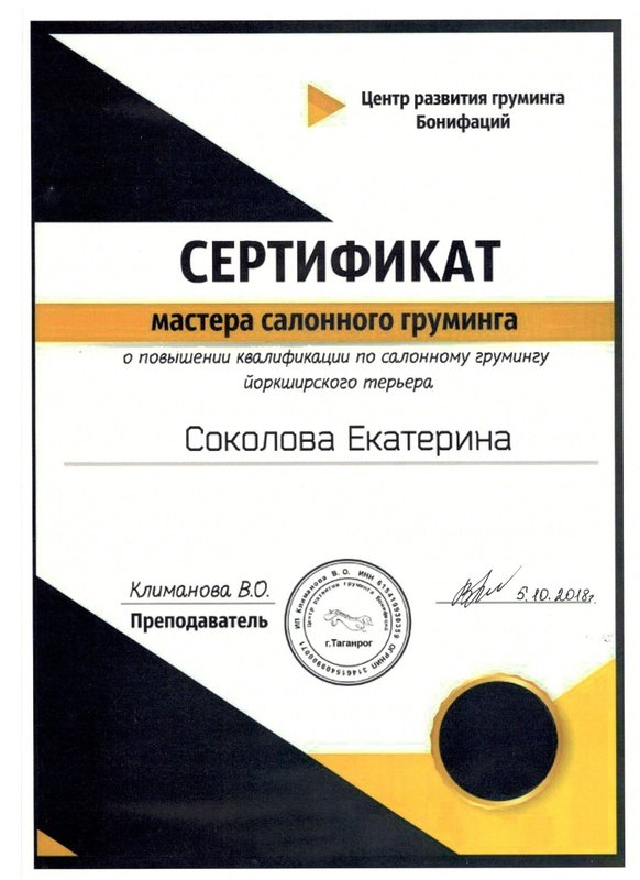 Документ или сертификат