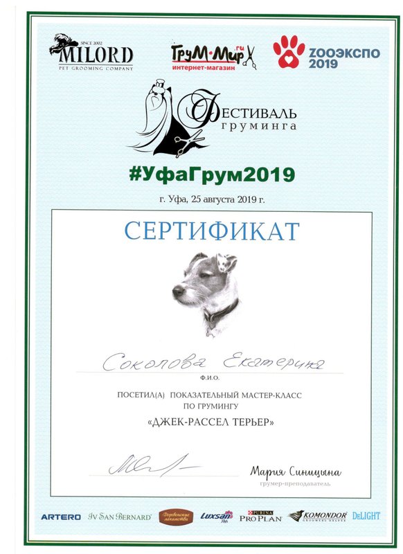 Документ или сертификат