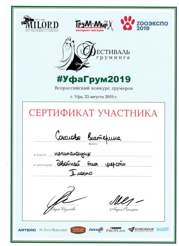 Документ или сертификат