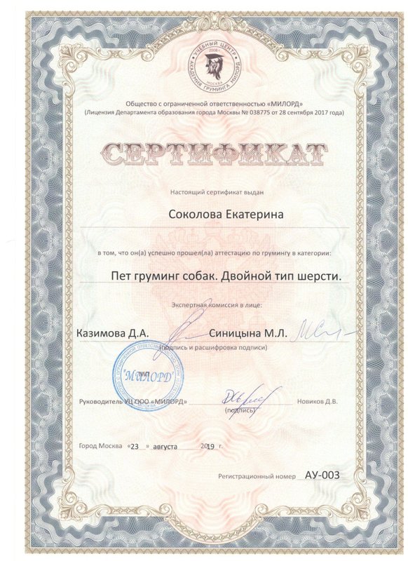 Документ или сертификат