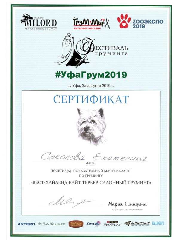 Документ или сертификат