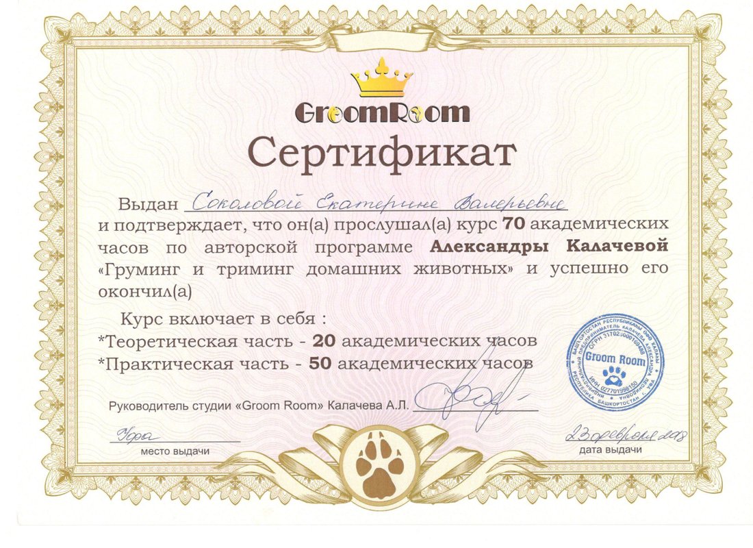 Документ или сертификат