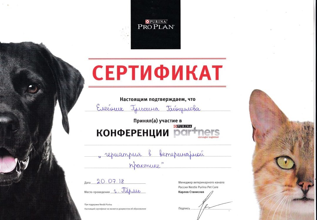 Документ или сертификат