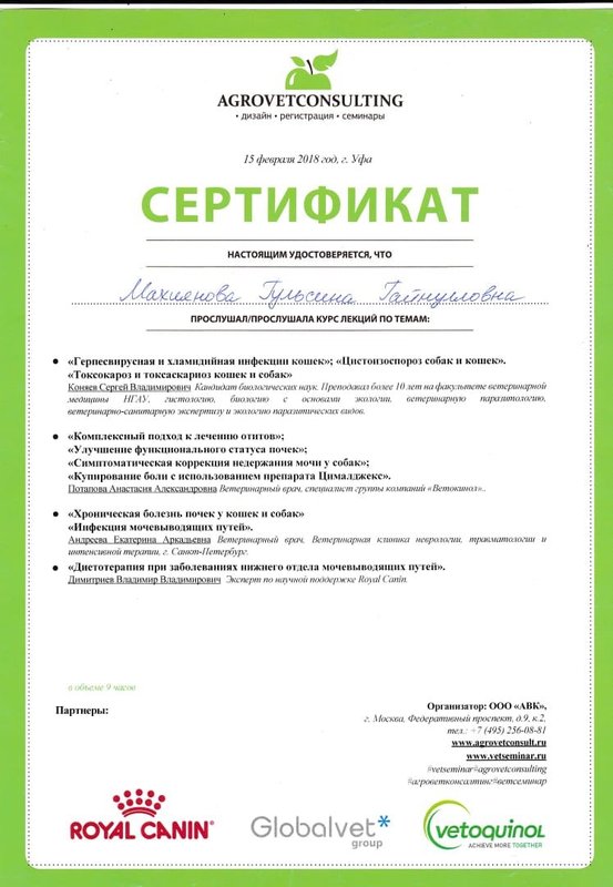 Документ или сертификат