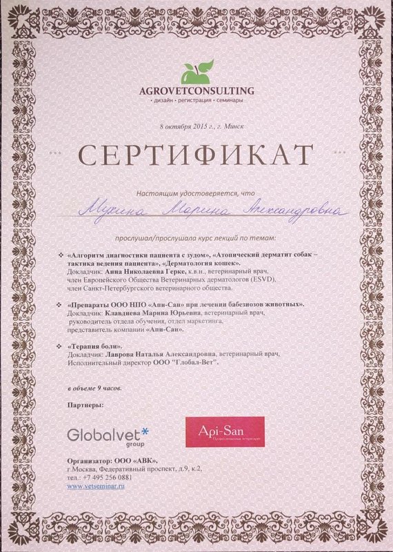 Документ или сертификат