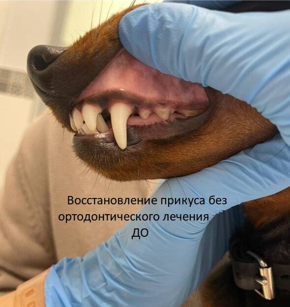 Фото врача