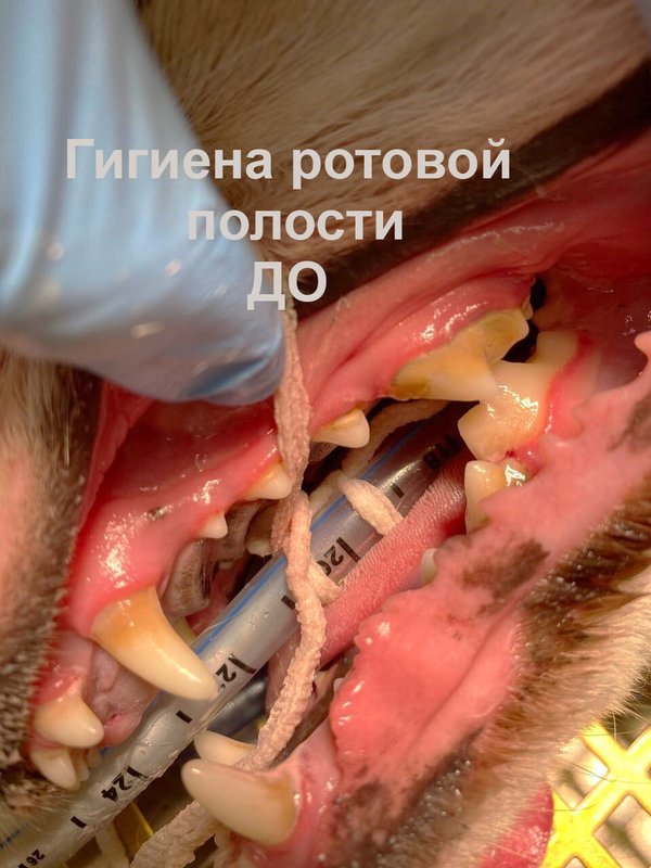 Фото врача