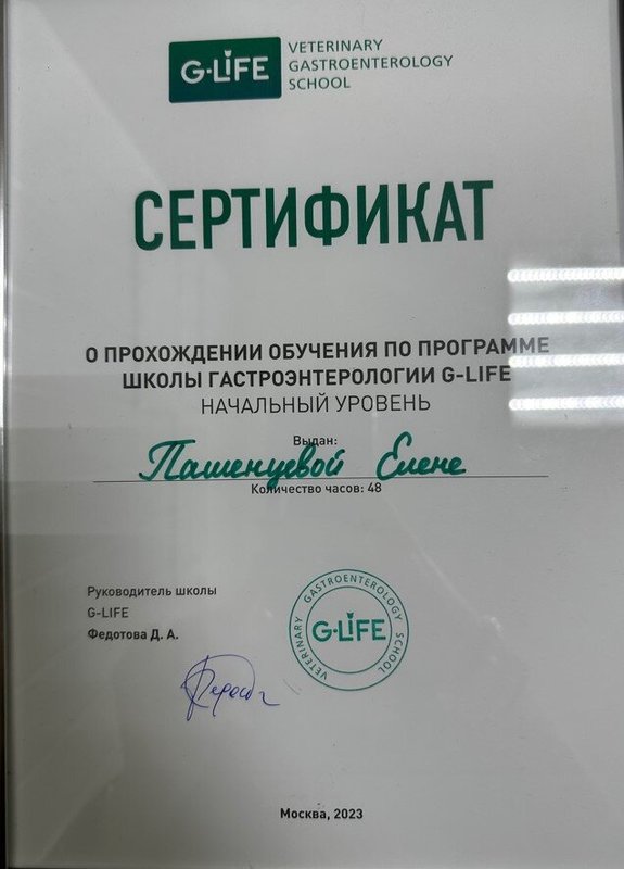 Документ или сертификат