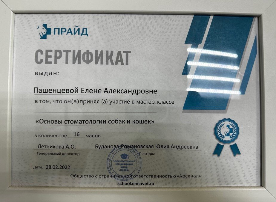 Документ или сертификат
