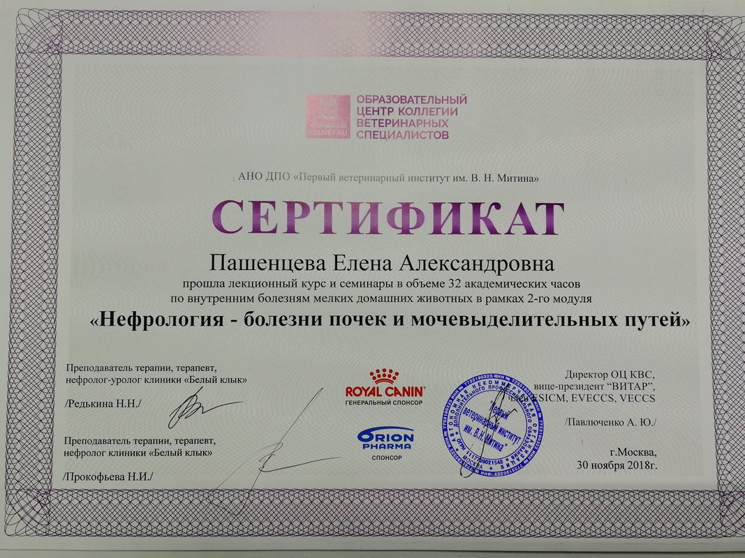 Документ или сертификат