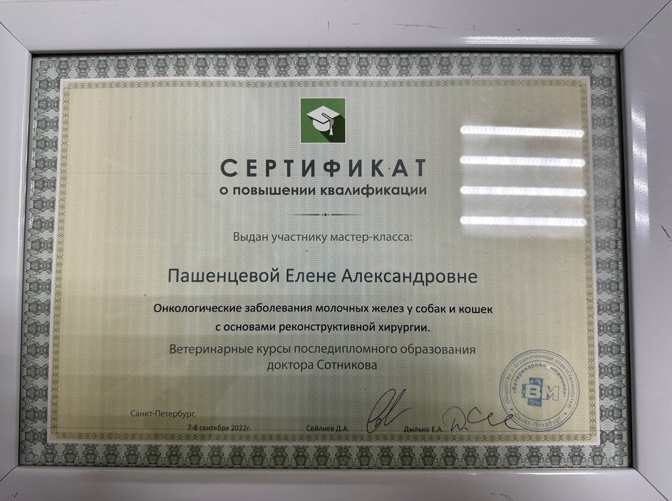 Документ или сертификат