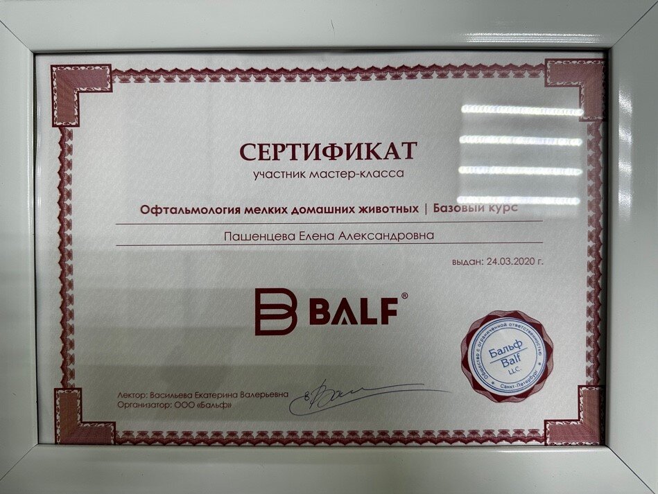 Документ или сертификат