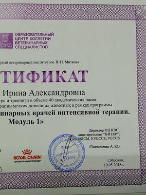 Фото врача Строкова Ирина Александровна