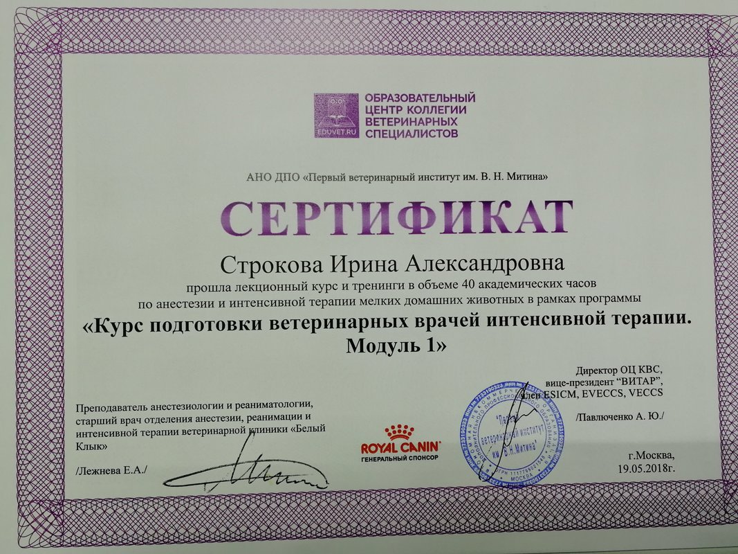 Документ или сертификат