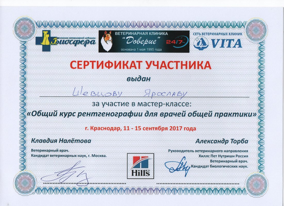 Документ или сертификат