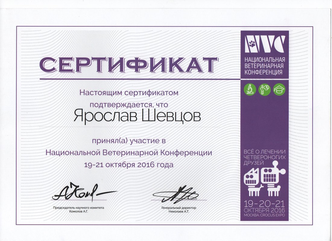 Документ или сертификат