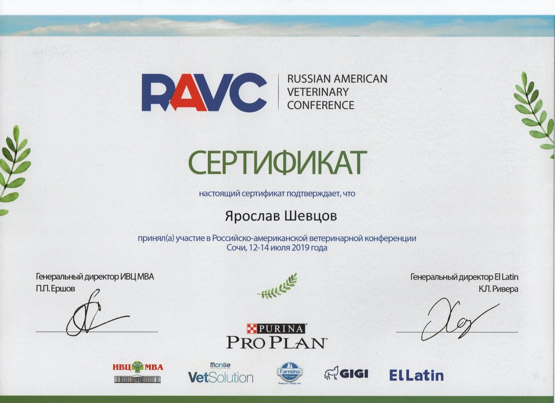 Документ или сертификат