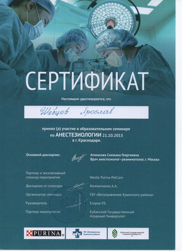 Документ или сертификат