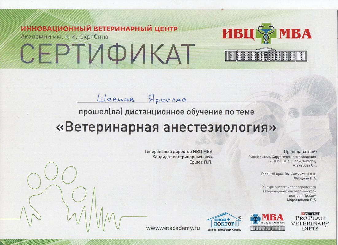 Документ или сертификат