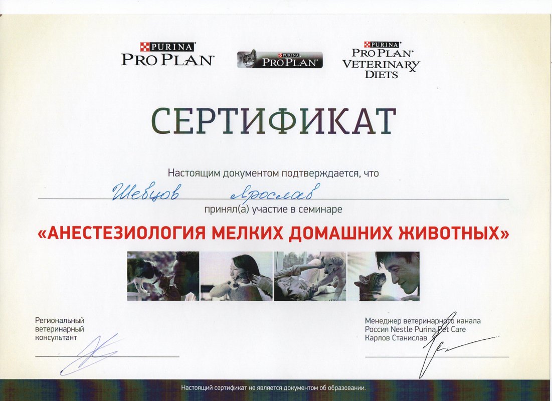 Документ или сертификат