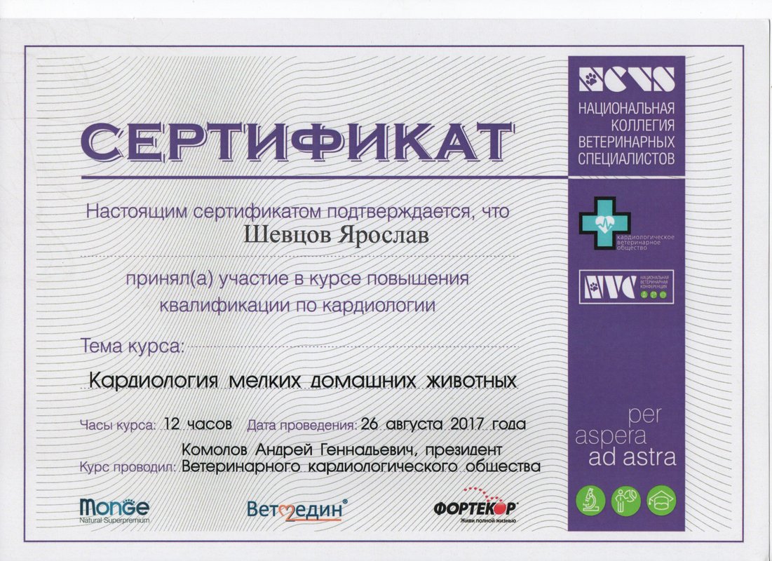 Документ или сертификат