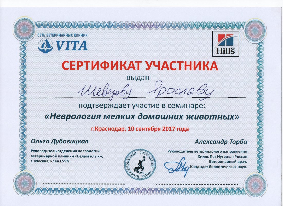 Документ или сертификат