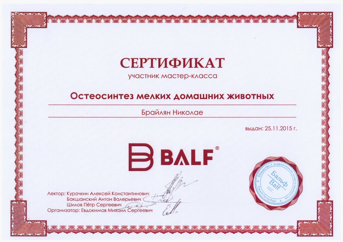 Документ или сертификат