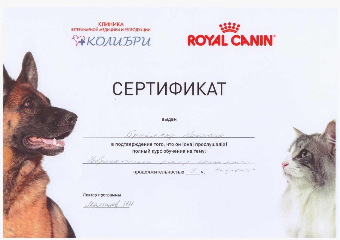 Документ или сертификат