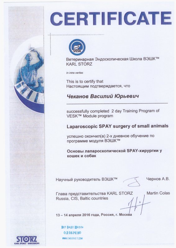 Документ или сертификат