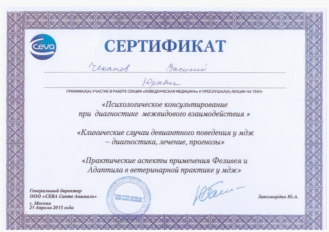 Документ или сертификат