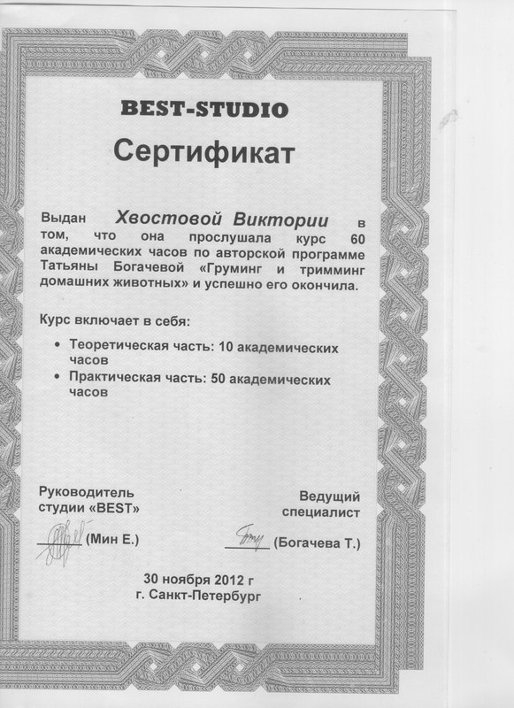 Документ или сертификат