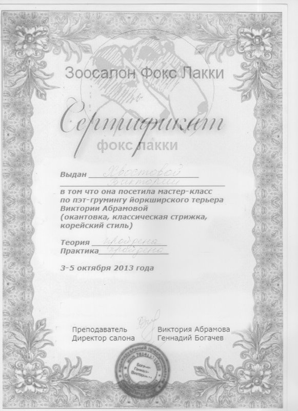 Документ или сертификат