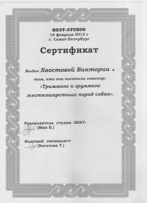 Документ или сертификат