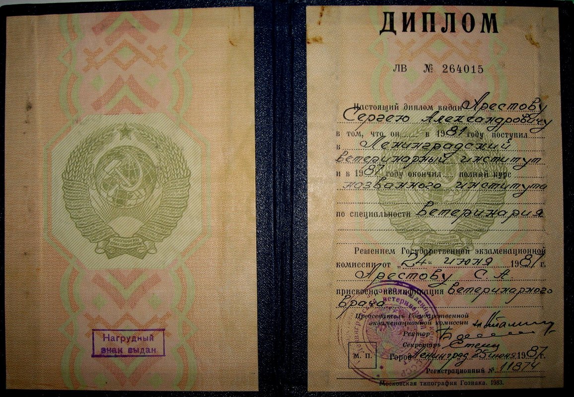 Фото врача