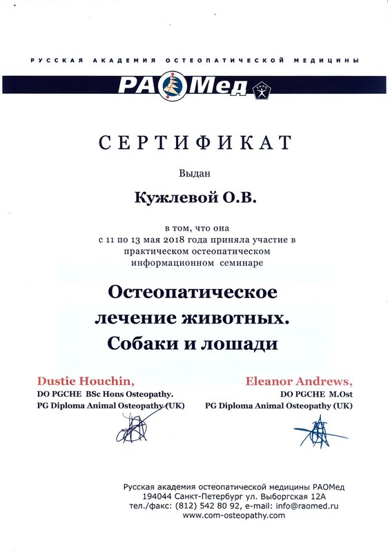 Документ или сертификат