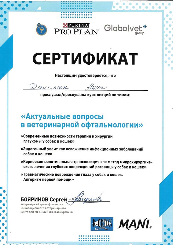 Документ или сертификат