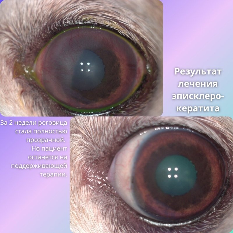 Фото врача