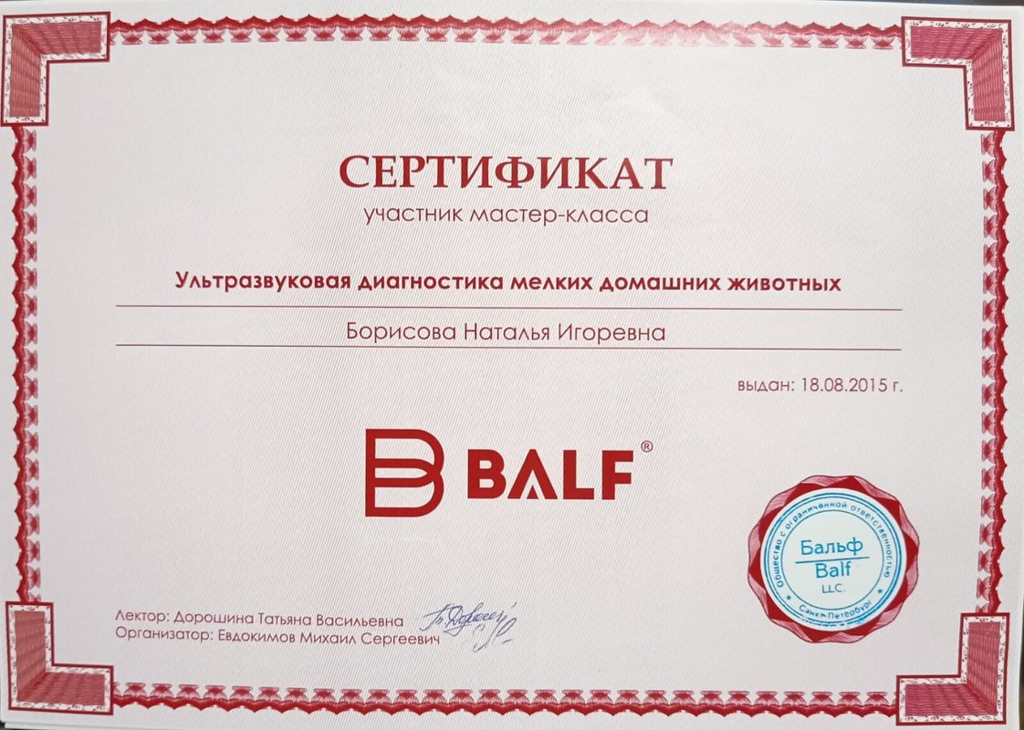 Документ или сертификат