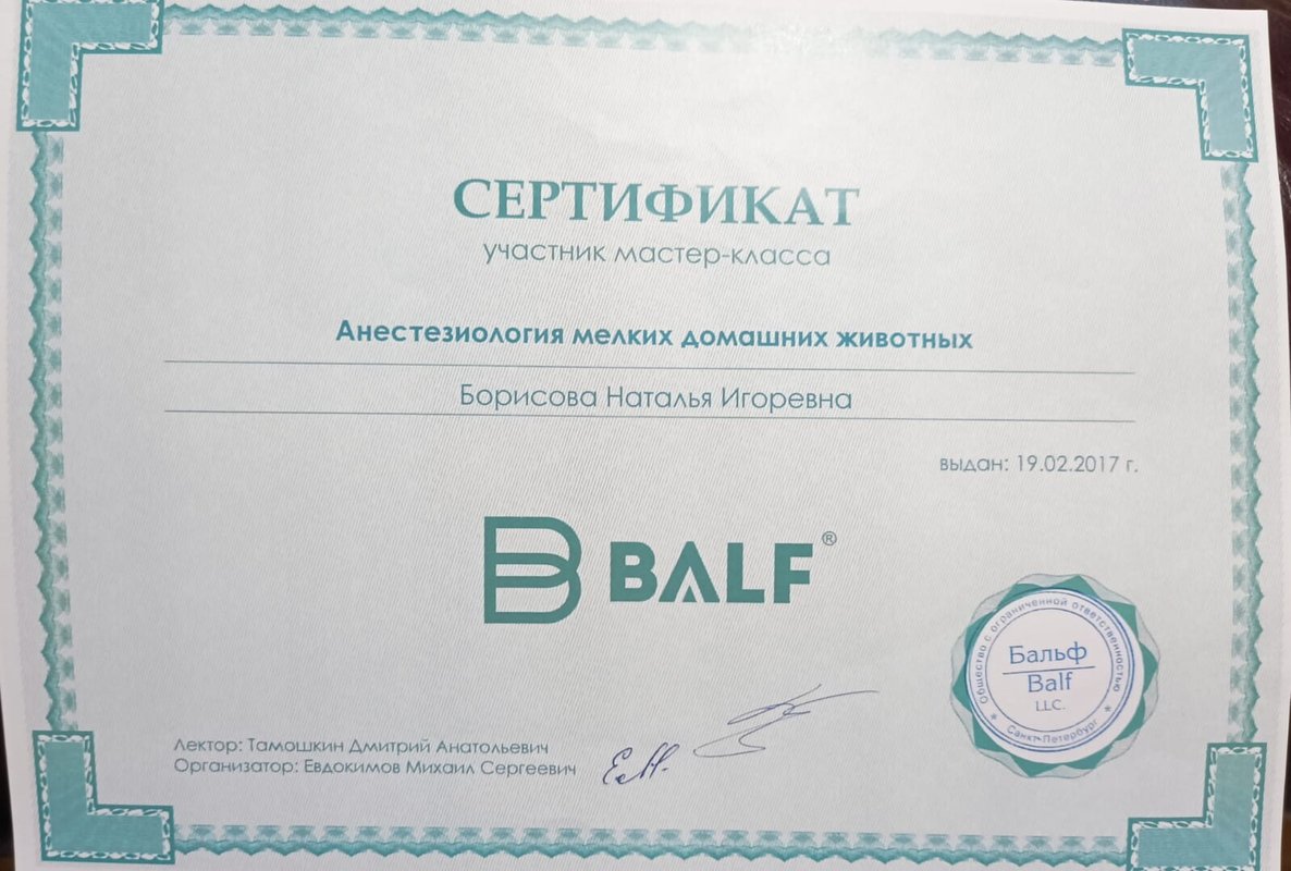 Документ или сертификат