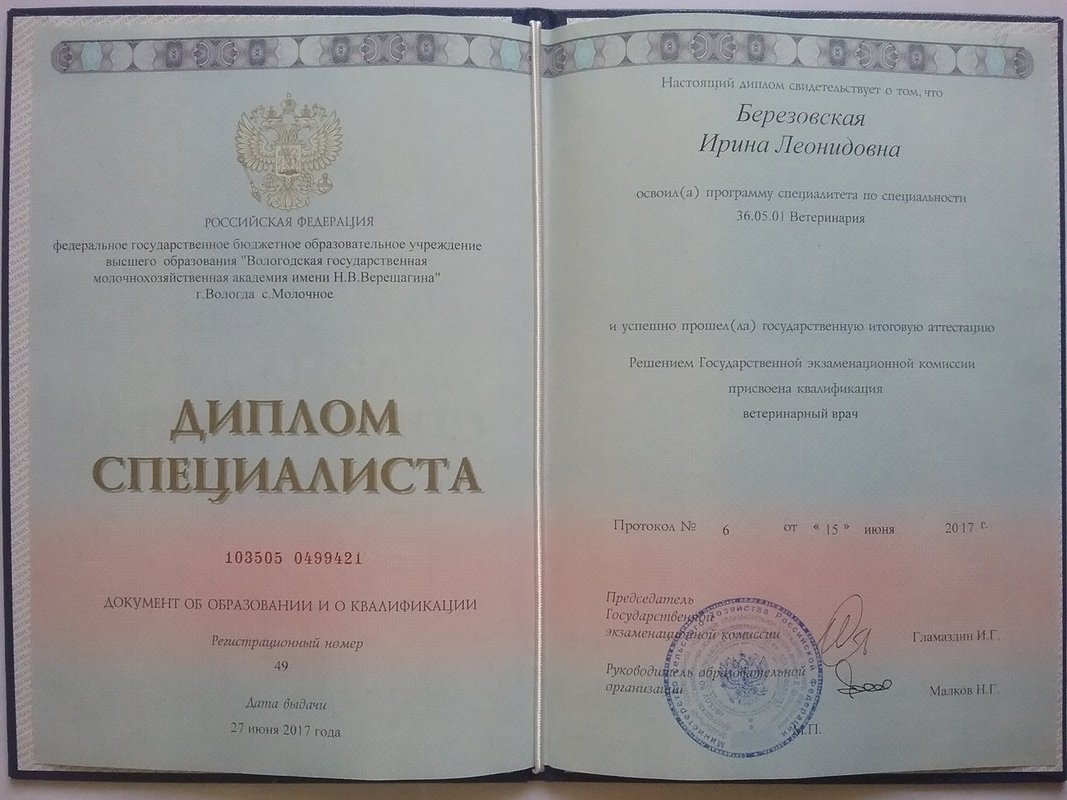 Документ или сертификат