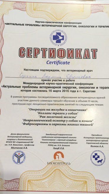 Документ или сертификат