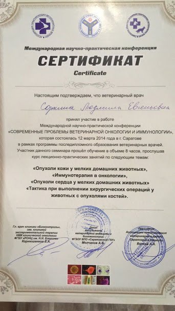 Документ или сертификат