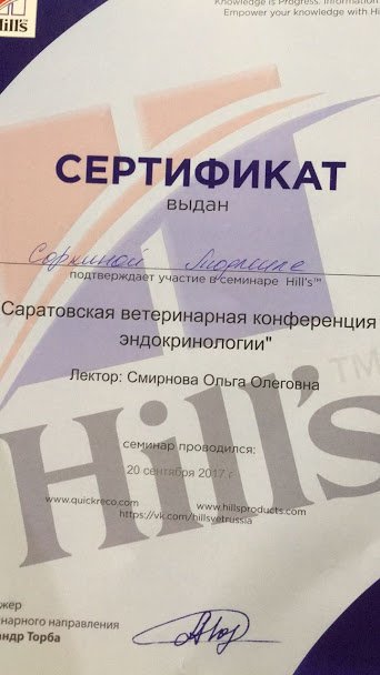 Документ или сертификат