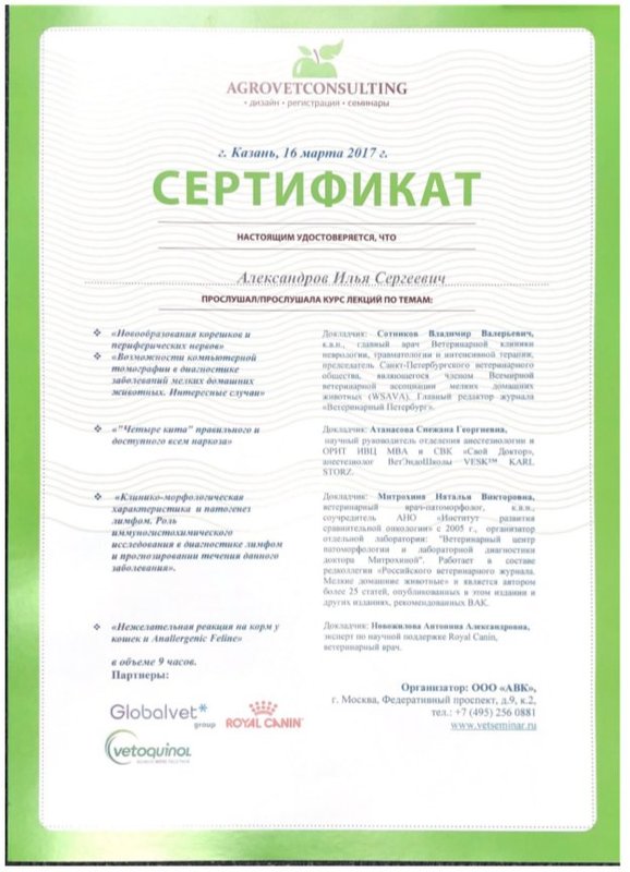 Документ или сертификат