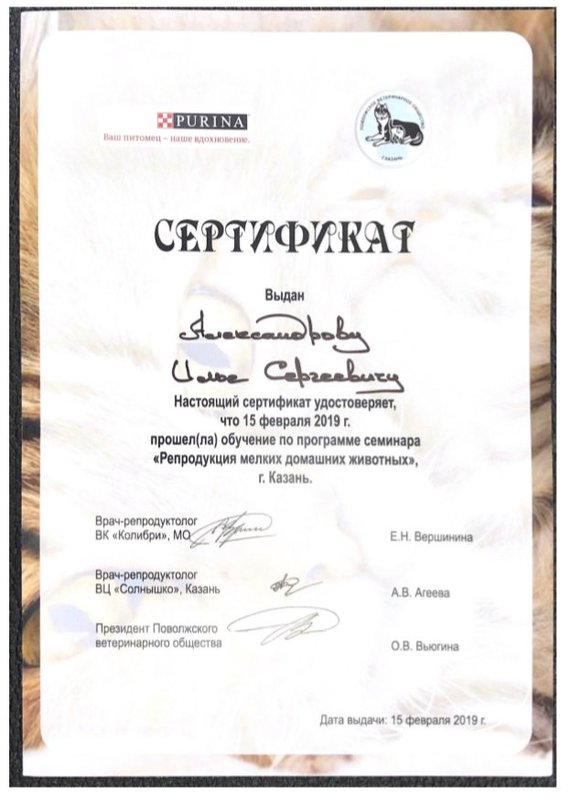 Документ или сертификат