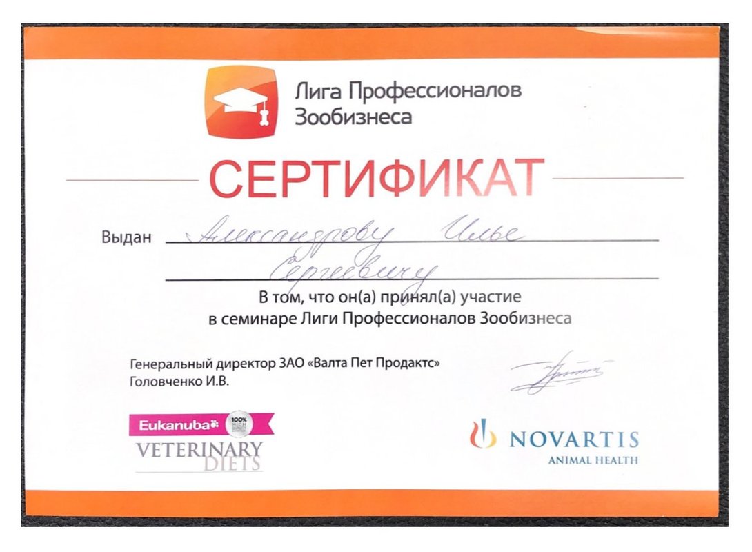 Документ или сертификат